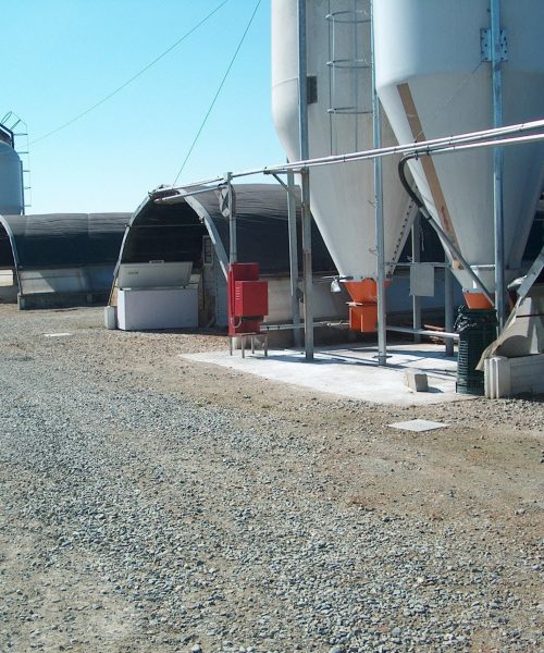 silos zooteam