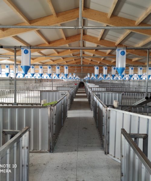 impianti suini zooteam