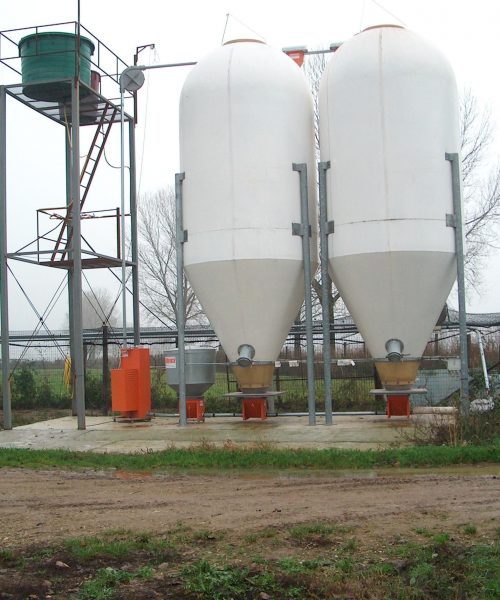 selvaggina