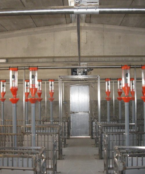 impianti suini zooteam