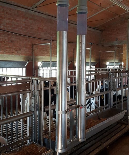 impianto bovini zooteam
