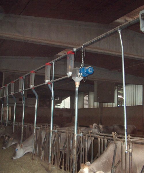 impianto bovini zooteam